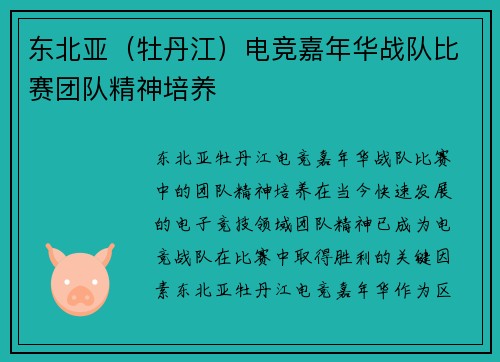 东北亚（牡丹江）电竞嘉年华战队比赛团队精神培养