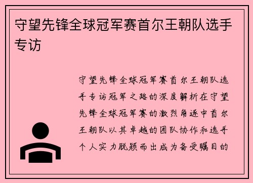 守望先锋全球冠军赛首尔王朝队选手专访