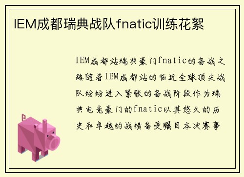 IEM成都瑞典战队fnatic训练花絮