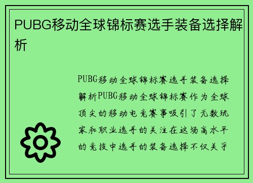 PUBG移动全球锦标赛选手装备选择解析