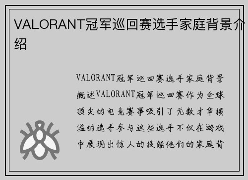 VALORANT冠军巡回赛选手家庭背景介绍